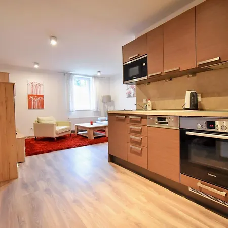 Dalibor Ii With Private Entrance And Private Garage Apartament