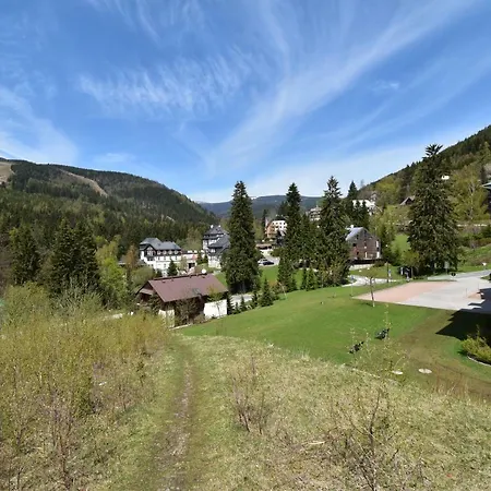 Apartment Dalibor Ii With Private Entrance And Private Garage