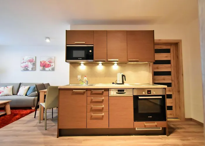 Dalibor Ii With Private Entrance And Private Garage Apartment