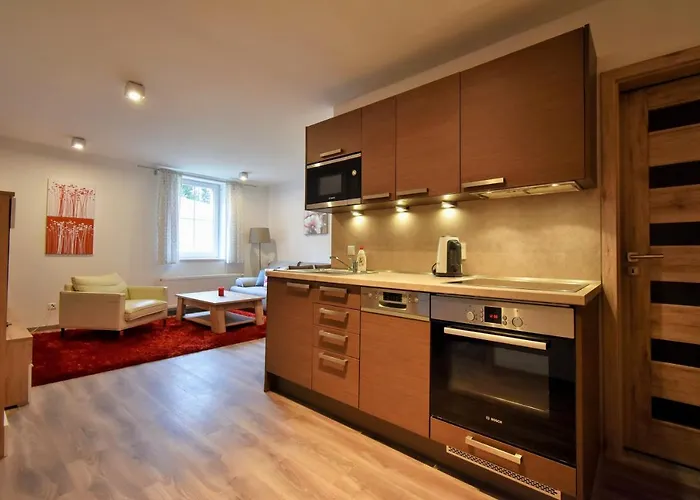 Dalibor Ii With Private Entrance And Private Garage Apartment Spindleruv Mlyn