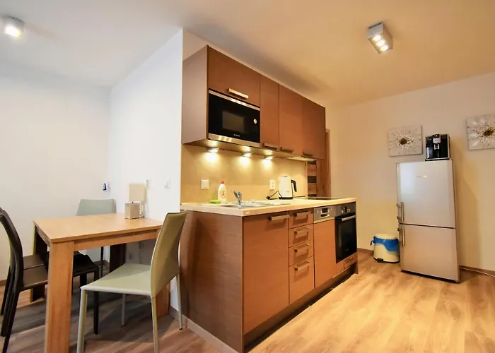 Dalibor Ii With Private Entrance And Private Garage *